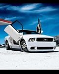 pic for Ford Mustang